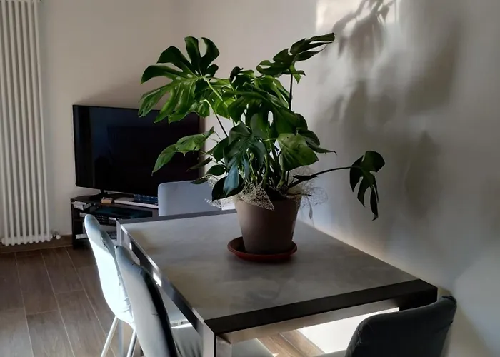 Bellavista * Lisciano Niccone